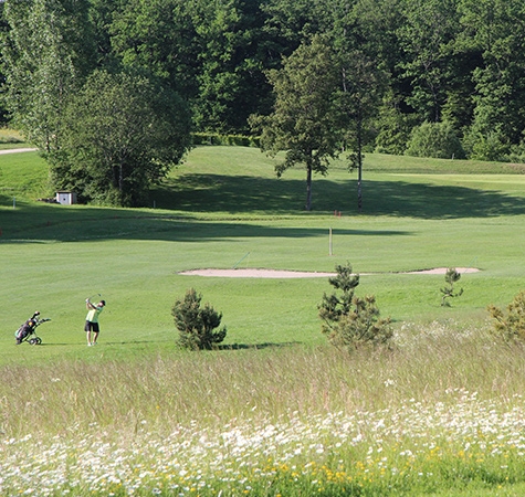 golf-vittel-1